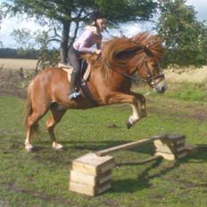 Islænder Iði  x-part