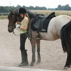 Anden særlig race Manou *Solgt* :'(