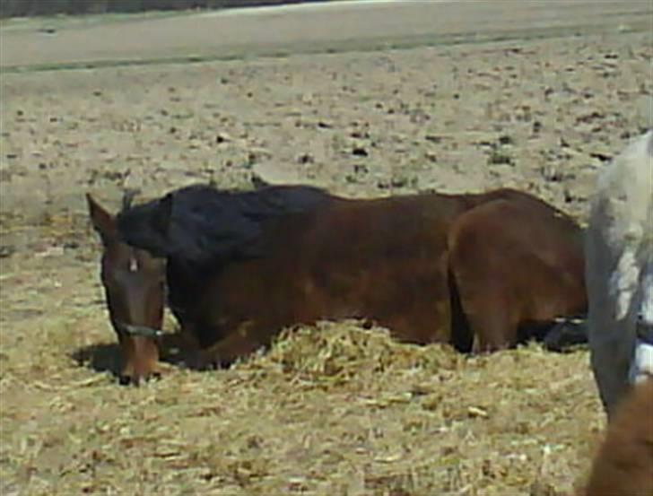 Traver *Christella* <3 - tøsen der lægger og for en lille lur billede 2