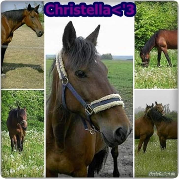 Traver *Christella* <3 billede 7