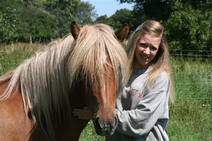 Islænder Fifla billede 18