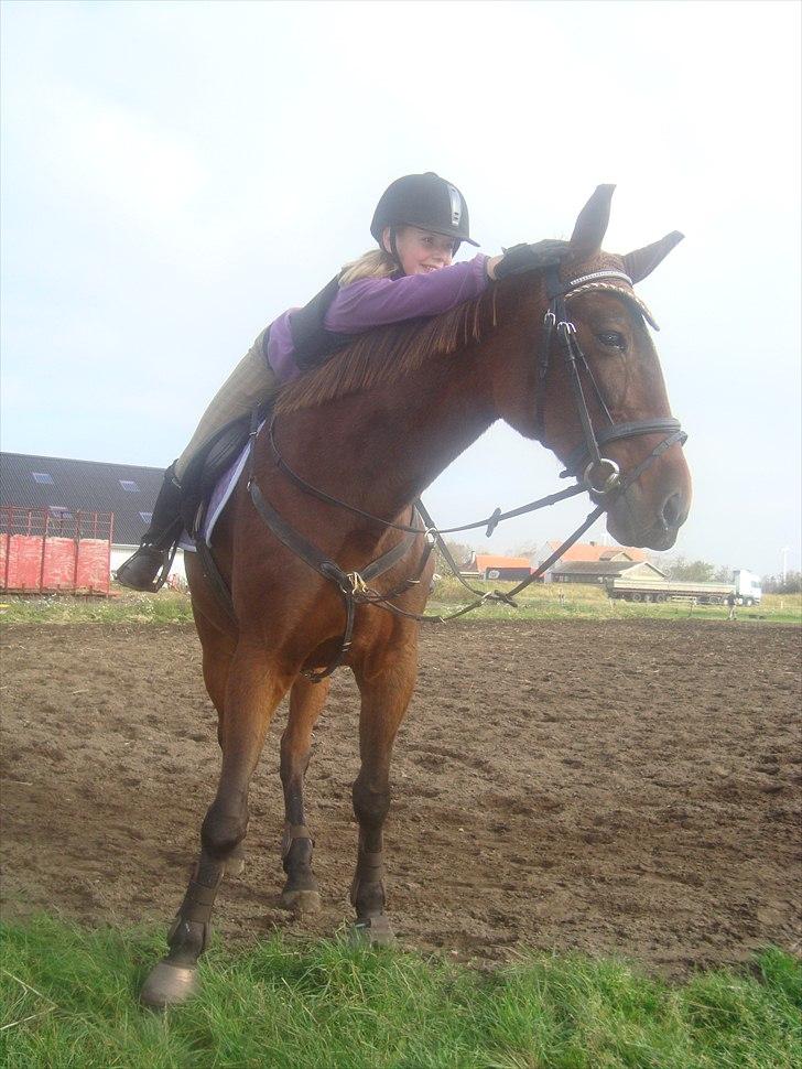 Traver Vega - En hest uden rytter, er stadig en hest. Men en rytter uden hest, er kun et menneske.
Foto: Maiken G. billede 15