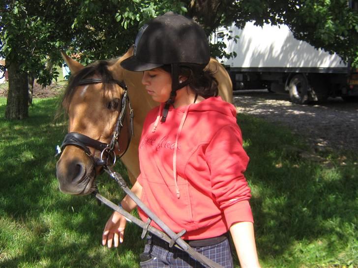 Anden særlig race Kandy Sweet *Red* - kom kandy så skal der tages billeder<33 billede 17