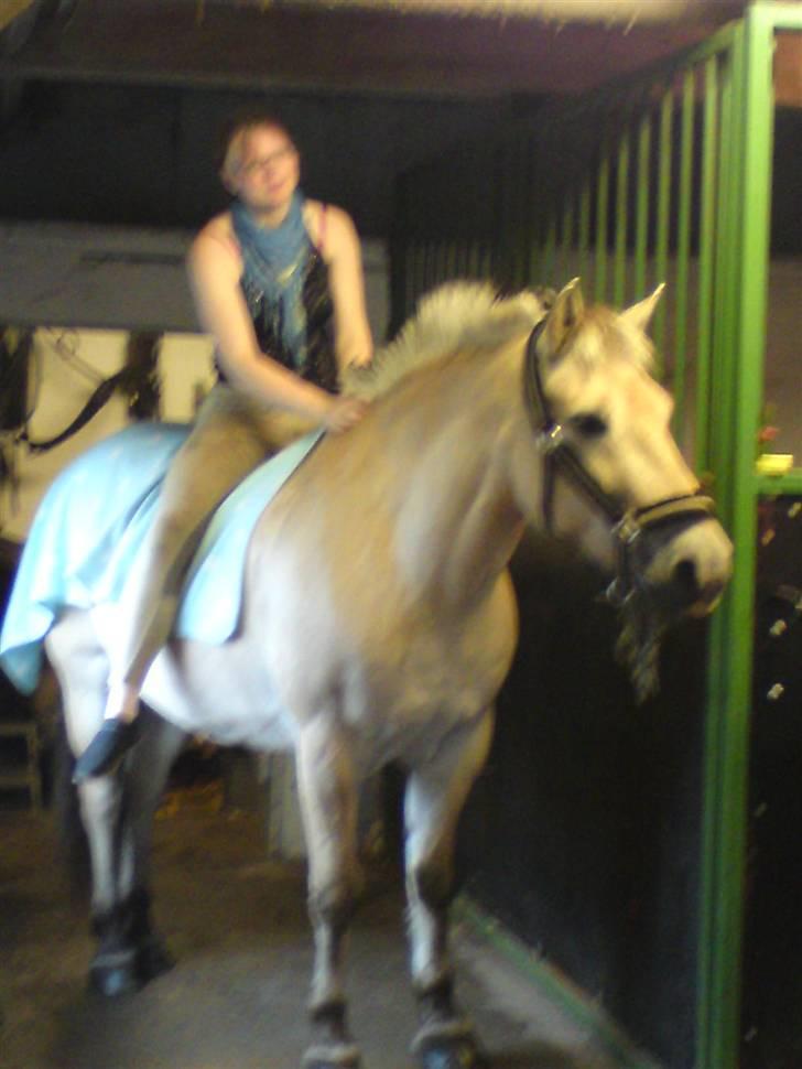 Fjordhest Rune Åby Farvel Min Skat. - mere hygge efter bad dejligt.. men der er altså stadig ender med mad.. billede 10