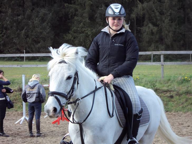 Anden særlig race snowball (solgt) - welkommen til snowball s profil<3 billede 1