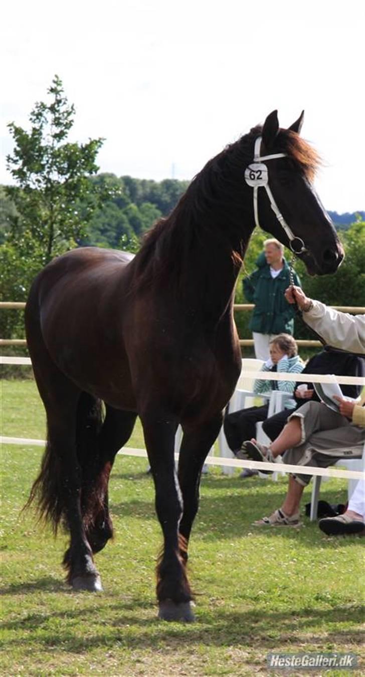 Frieser Hambrugs Othello - <3 billede 19