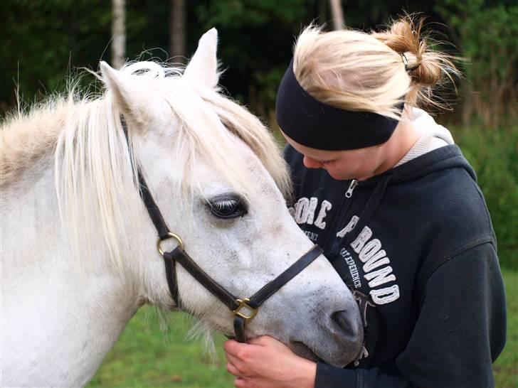 Welsh Mountain (sec A) Cirkeline billede 14