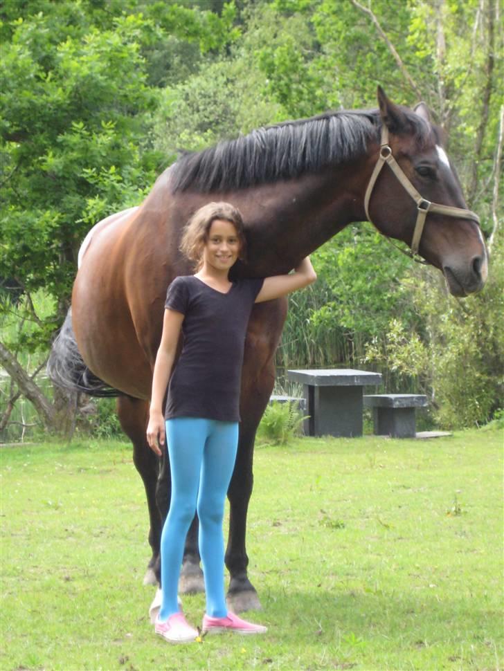 Hollandsk Varmblod Liza Aflivet d.29 oktober - ude på folden... foto: tillo billede 13