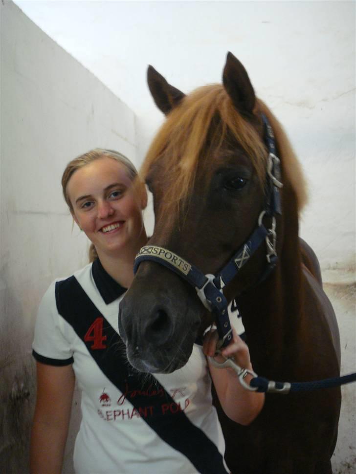 Tysk Sportspony Dancer 94 - Dancer og jeg :) billede 15