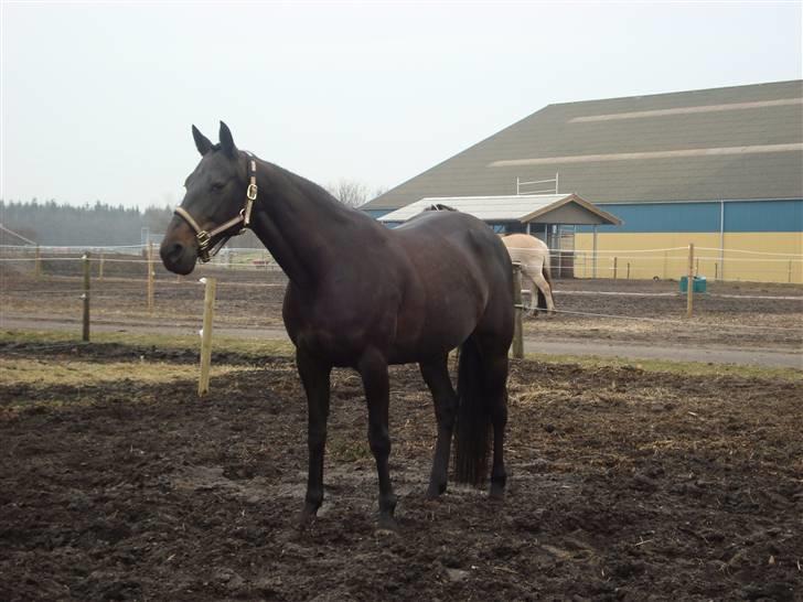 Traver Exposito Attack - Sito på fold på Tronsøskolen 09/10 billede 5