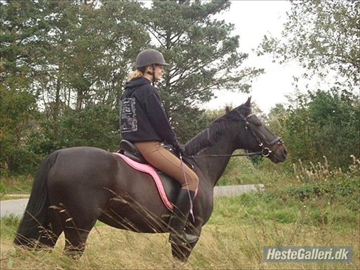 Traver Exposito Attack - Photoshot på stubmarken 2010 billede 6