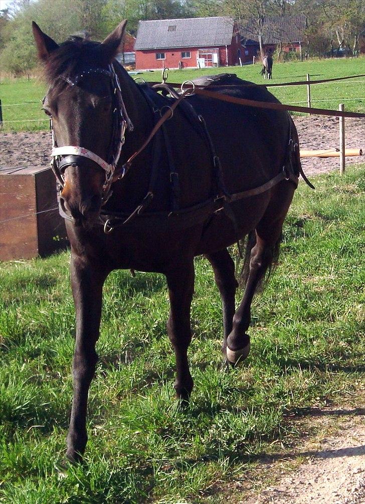 Traver Exposito Attack billede 9