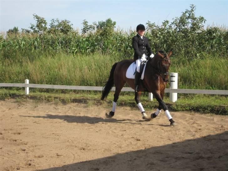 Oldenborg Sir Oliver billede 14