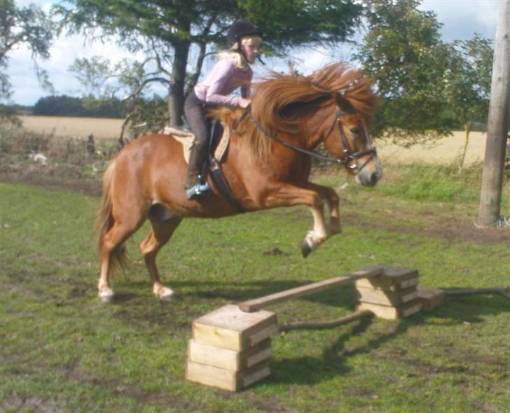 Islænder Iði  x-part - ihhh hvor er jeg lille elsker dig iddi billede 1