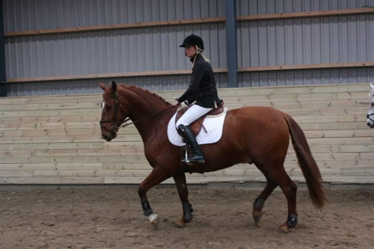 Frederiksborg Legolas Enghaven billede 9