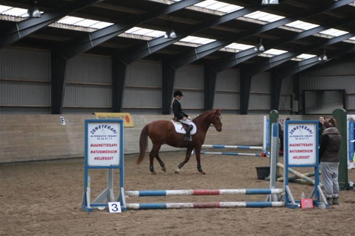 Frederiksborg Legolas Enghaven billede 11
