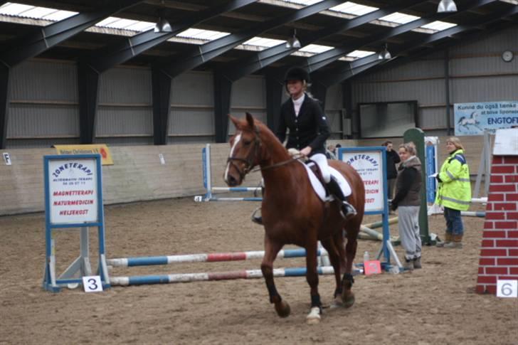 Frederiksborg Legolas Enghaven billede 12