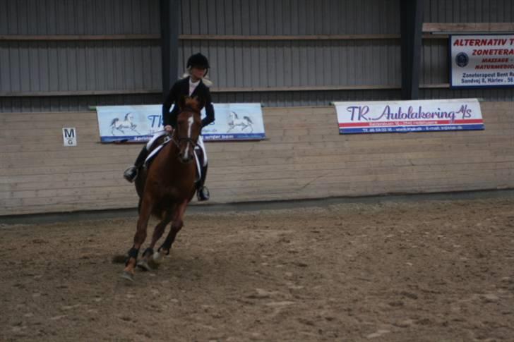 Frederiksborg Legolas Enghaven billede 13