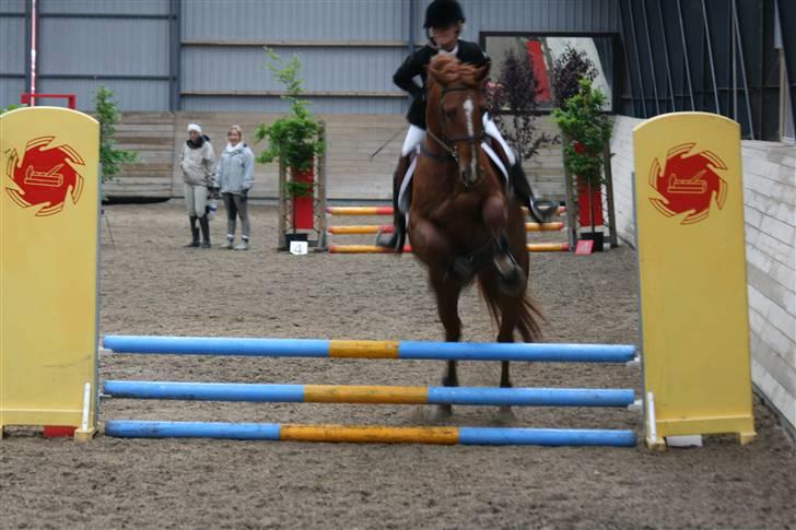 Frederiksborg Legolas Enghaven billede 14