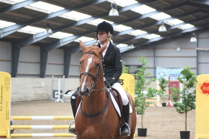 Frederiksborg Legolas Enghaven billede 15