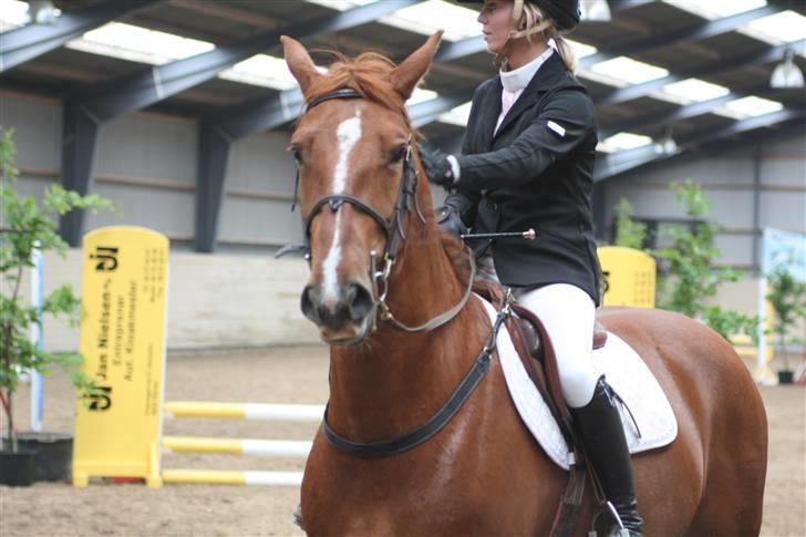 Frederiksborg Legolas Enghaven billede 17