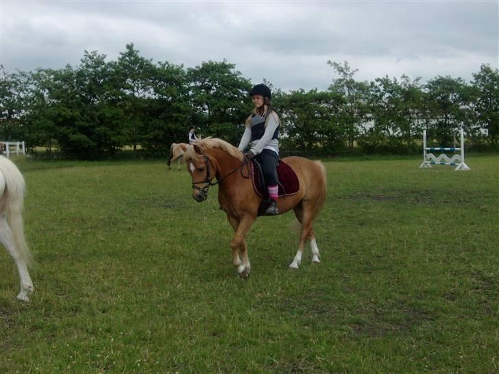 Anden særlig race Picasso!<3 - savnet. billede 9