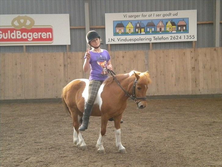 Shetlænder victor - haha victor XD billede 10