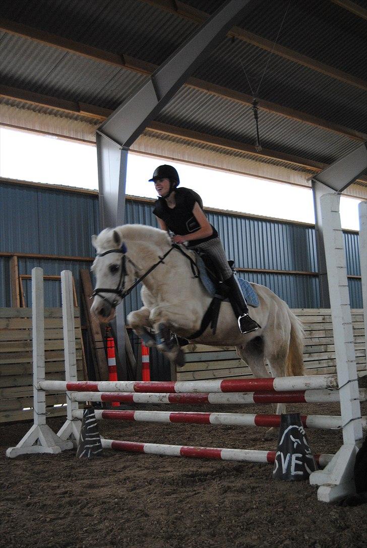 Anden særlig race Skipper Skræk - Fordi du er den sejeste af dem alle - jeg elsker dig! (60cm) billede 2