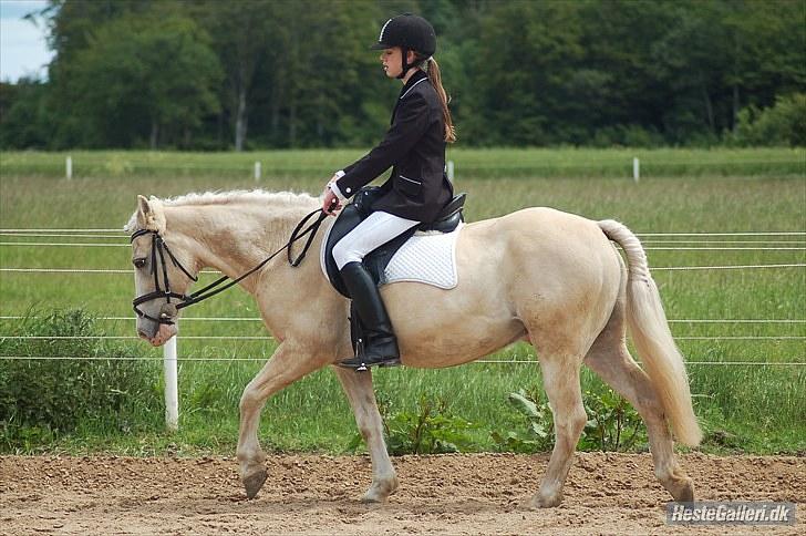 Anden særlig race Skipper Skræk - Fordi at selvom du er træt, vil du aldrig skuffe mig - jeg elsker dig! billede 4