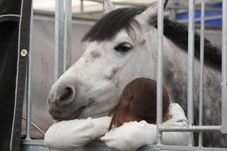 Anden særlig race Lukas - Zzzzz ZZzzzzz :d billede 7