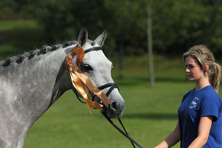DSP MÅLUND'S MINI-MAJ - BRONCE medalje hoppe DSP eliteskue 2010 billede 10
