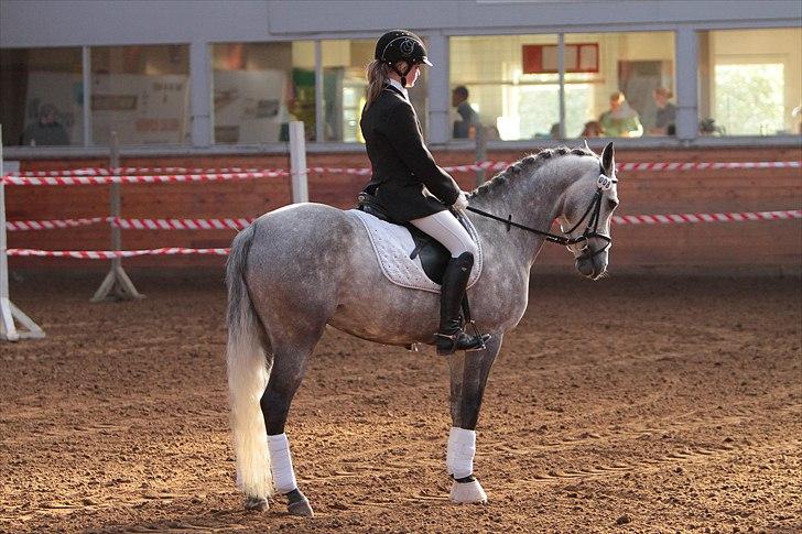 DSP MÅLUND'S MINI-MAJ billede 13