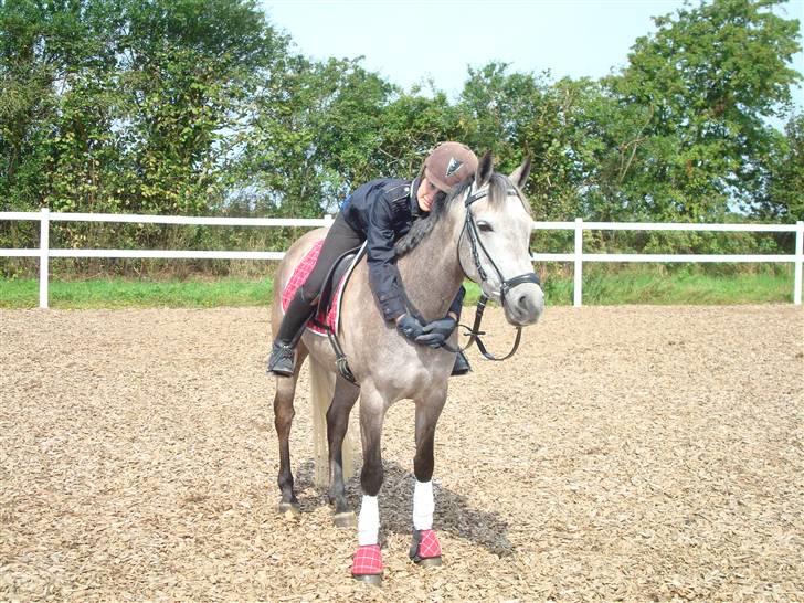 DSP MÅLUND'S MINI-MAJ billede 14