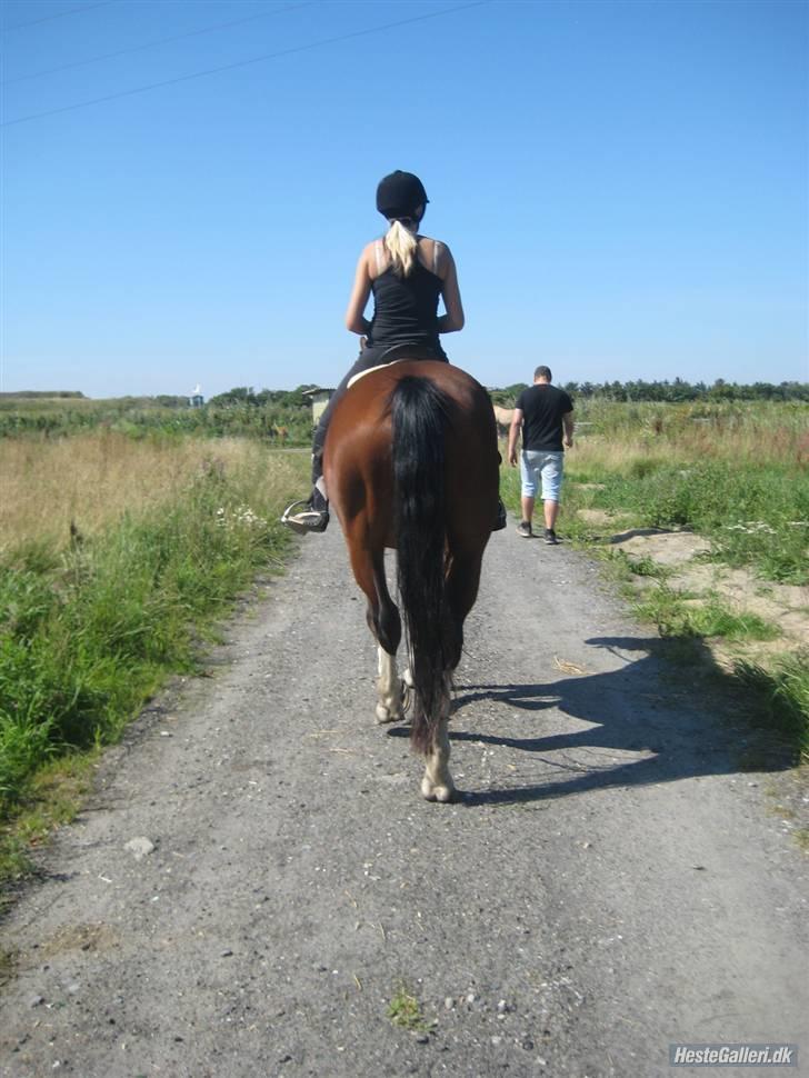 Hollandsk Varmblod Athena Arenda <33 - Når enden er god er alting godt :P billede 20