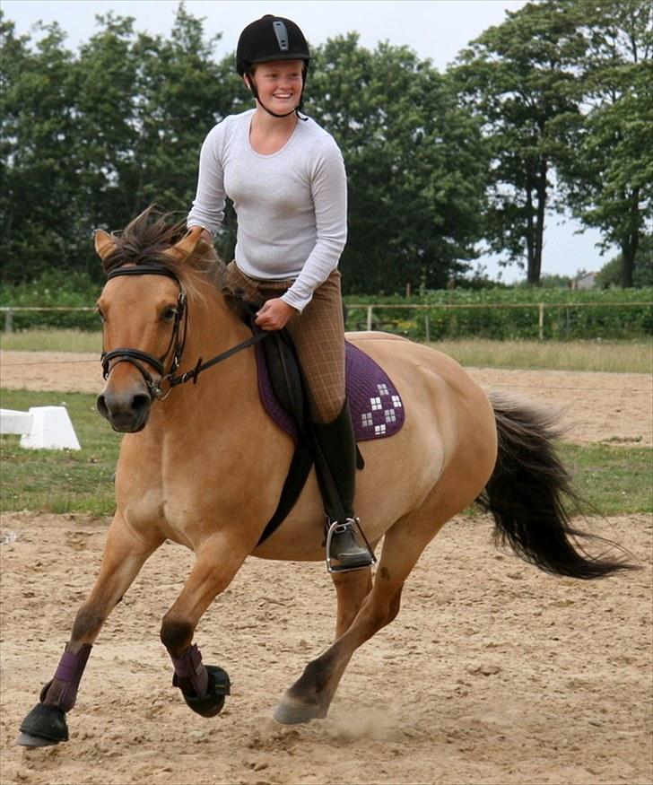 Anden særlig race Missy - nyt!! nej hun var frisk den dag:) søde pony!! billede 9
