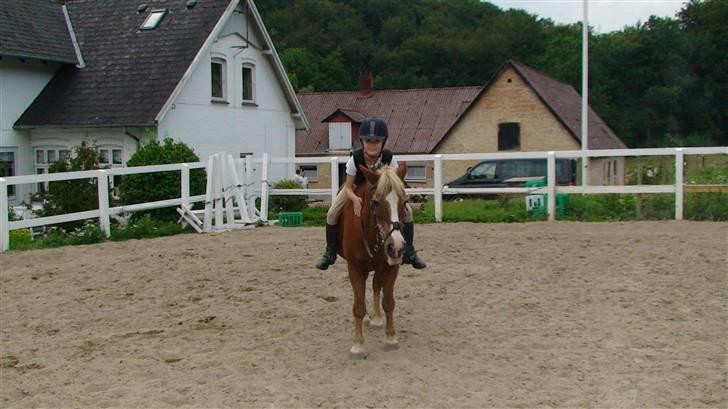 Anden særlig race Jack R.I.P :`( - Velkommen til min profil, kig til rundt og smid en kommentar billede 1