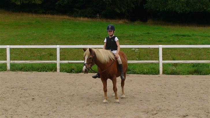 Anden særlig race Jack R.I.P :`( - ude og ride uden sadlen billede 2