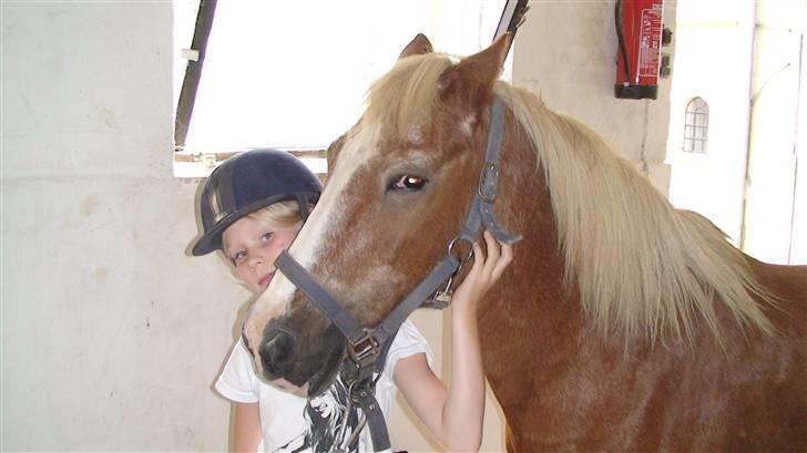 Anden særlig race Jack R.I.P :`( - line nusser og  pusser mig det er dejliget billede 3