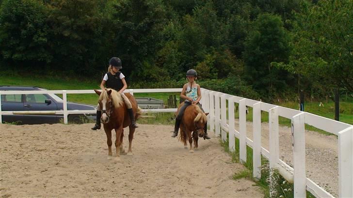 Anden særlig race Jack R.I.P :`( - Line,Amalie,Lille stjerne og jeg skridter af billede 5