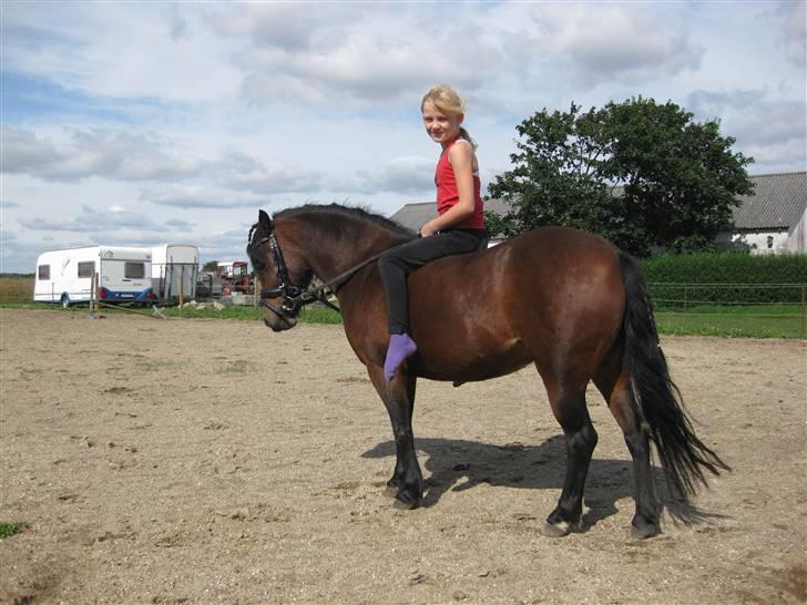 Dartmoor Guldklump<33   /Solgt/ - MiN gUlDkLuMp 4-EvEr billede 10