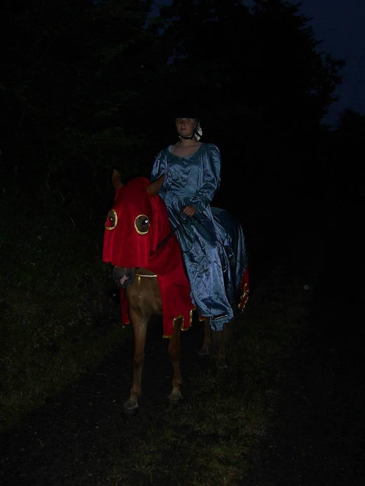 Islænder Hrísla fra Gerskov R.I.P. - Hrisla og mig til nattölt. billede 11