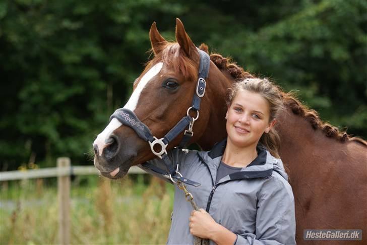 Welsh Pony (sec B) Creekmanns Cherie - os for altid skat, du er verdenen for mig.<3 foto-MB billede 10