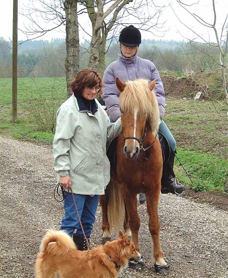 Islænder Hrísla fra Gerskov R.I.P. - Hanne Wedel(Hrislas opdrætter), Hrisla og mig. billede 16