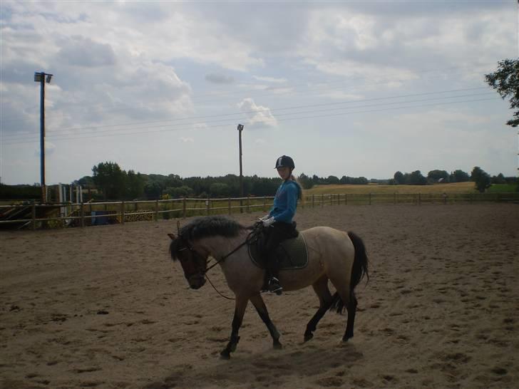 Anden særlig race Manou *Solgt* :'( - Opvarmer til spring.. *lidt gammelt billede* billede 6