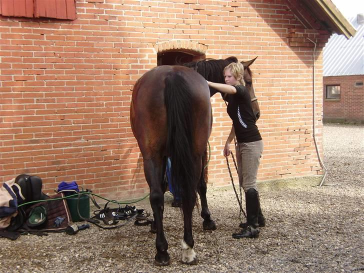 Oldenborg odessa billede 4