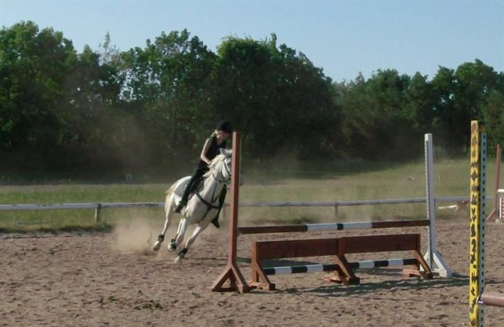 Knabstrupper Kouros *solgt*  - ser ud til vi har meget fart på, når støvet slyver sårn ;P coool billede 14