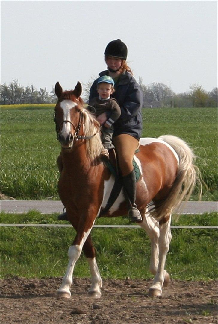 Pinto Pegasus   afdød :( - Mig på Pegasus, sammen med min søn (2 år på billidet)  billede 4