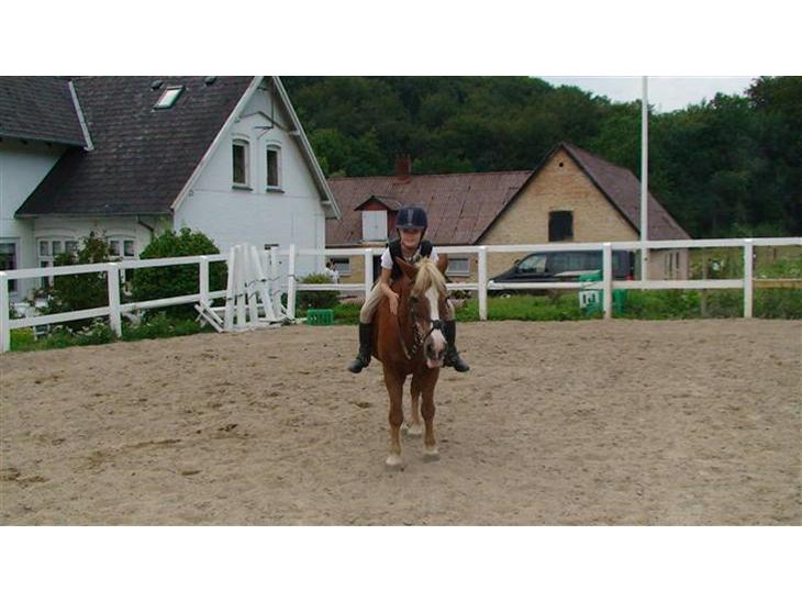 {{currentPhoto.altText}} billede {{currentPhoto.number}}