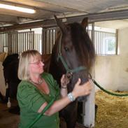 Anden særlig race Pédro *solgt*