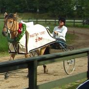 Anden særlig race Diego Santana